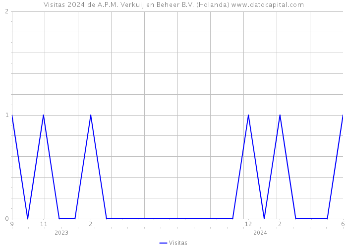 Visitas 2024 de A.P.M. Verkuijlen Beheer B.V. (Holanda) 