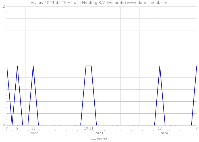 Visitas 2024 de TP Haluco Holding B.V. (Holanda) 