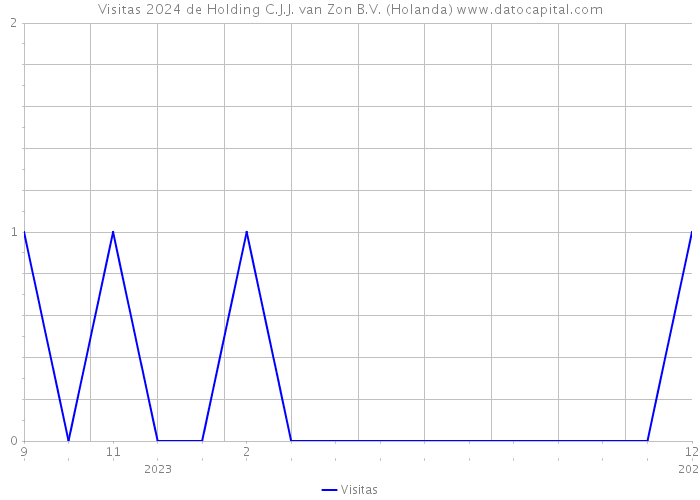 Visitas 2024 de Holding C.J.J. van Zon B.V. (Holanda) 