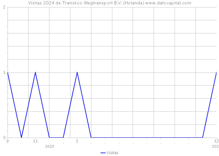 Visitas 2024 de Transkoo Wegtransport B.V. (Holanda) 