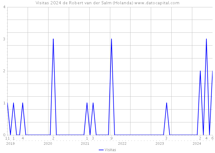 Visitas 2024 de Robert van der Salm (Holanda) 