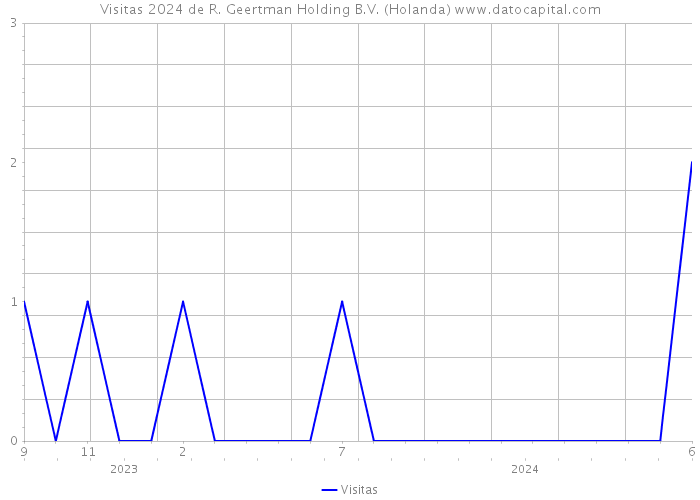 Visitas 2024 de R. Geertman Holding B.V. (Holanda) 