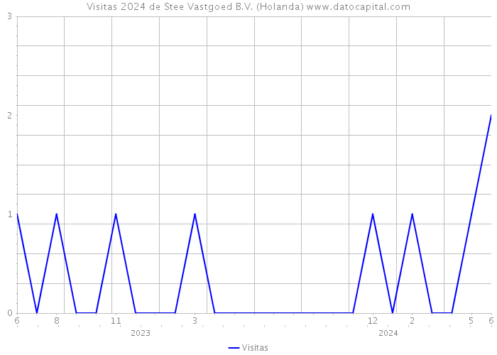 Visitas 2024 de Stee Vastgoed B.V. (Holanda) 