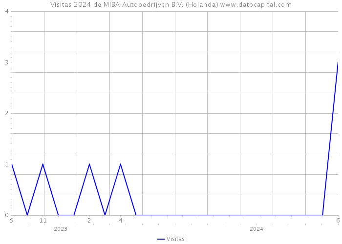 Visitas 2024 de MIBA Autobedrijven B.V. (Holanda) 
