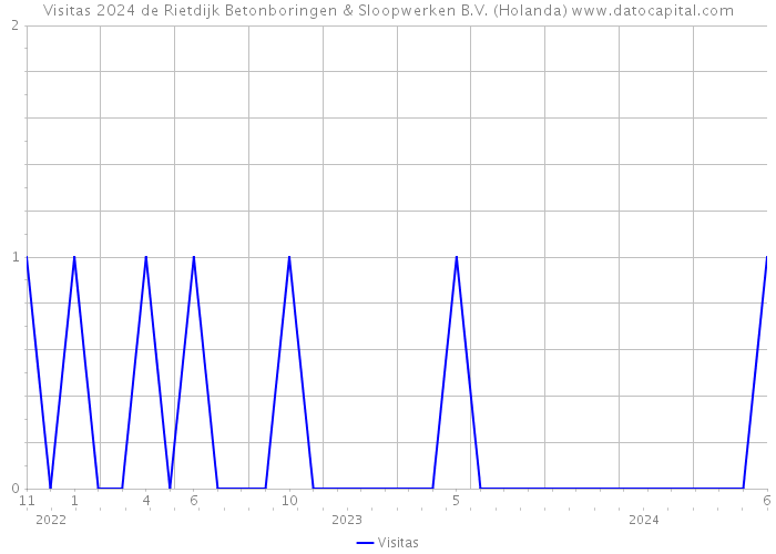 Visitas 2024 de Rietdijk Betonboringen & Sloopwerken B.V. (Holanda) 