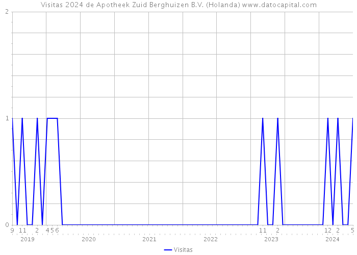 Visitas 2024 de Apotheek Zuid Berghuizen B.V. (Holanda) 