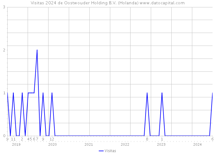 Visitas 2024 de Oostwouder Holding B.V. (Holanda) 