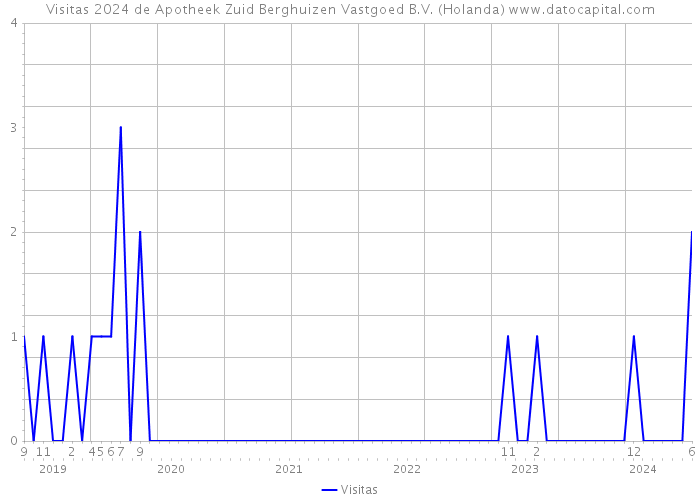 Visitas 2024 de Apotheek Zuid Berghuizen Vastgoed B.V. (Holanda) 