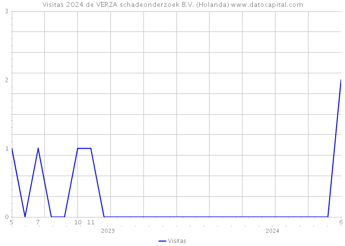 Visitas 2024 de VERZA schadeonderzoek B.V. (Holanda) 