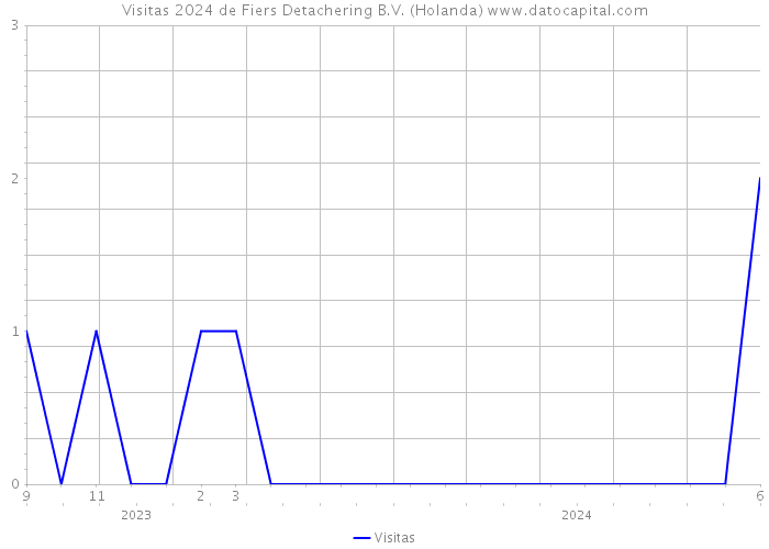 Visitas 2024 de Fiers Detachering B.V. (Holanda) 
