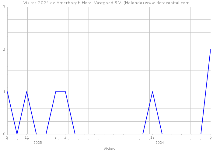 Visitas 2024 de Amerborgh Hotel Vastgoed B.V. (Holanda) 