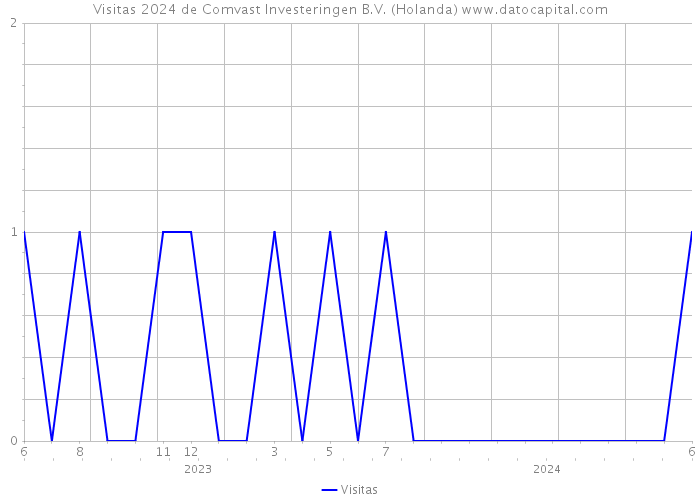 Visitas 2024 de Comvast Investeringen B.V. (Holanda) 