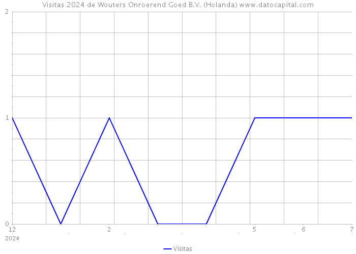 Visitas 2024 de Wouters Onroerend Goed B.V. (Holanda) 