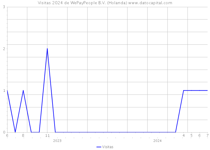 Visitas 2024 de WePayPeople B.V. (Holanda) 