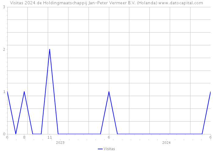 Visitas 2024 de Holdingmaatschappij Jan-Peter Vermeer B.V. (Holanda) 
