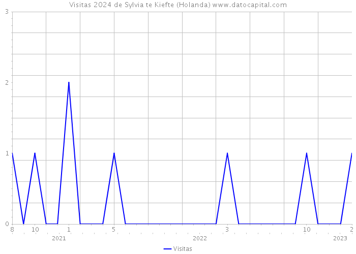 Visitas 2024 de Sylvia te Kiefte (Holanda) 