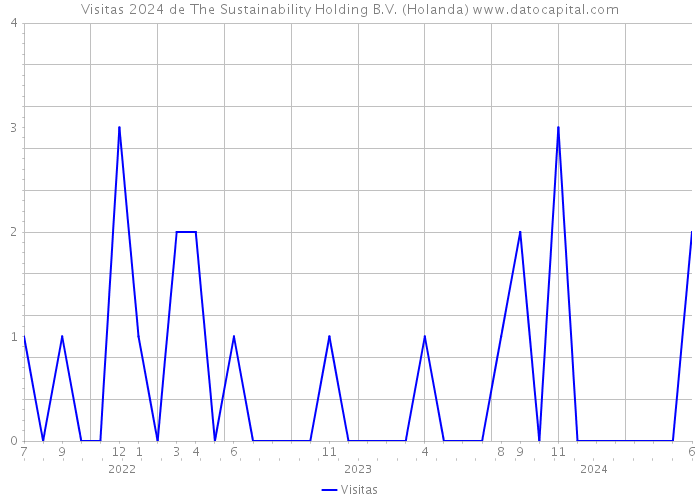 Visitas 2024 de The Sustainability Holding B.V. (Holanda) 