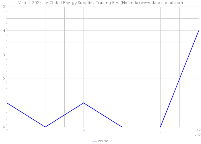Visitas 2024 de Global Energy Supplies Trading B.V. (Holanda) 