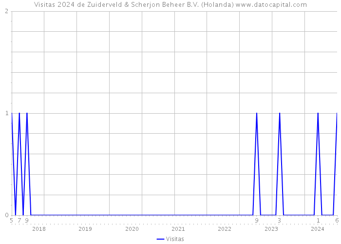 Visitas 2024 de Zuiderveld & Scherjon Beheer B.V. (Holanda) 