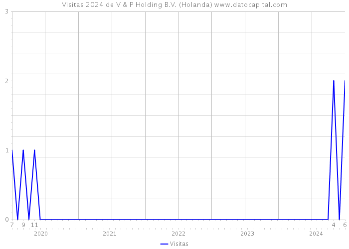 Visitas 2024 de V & P Holding B.V. (Holanda) 