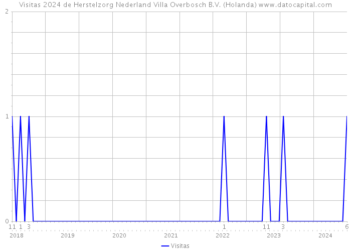 Visitas 2024 de Herstelzorg Nederland Villa Overbosch B.V. (Holanda) 