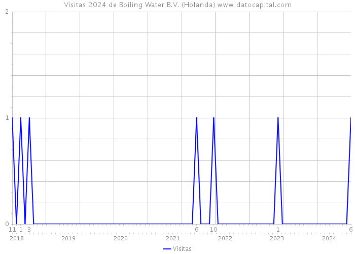 Visitas 2024 de Boiling Water B.V. (Holanda) 