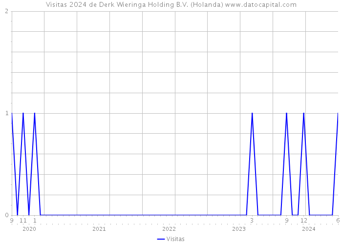 Visitas 2024 de Derk Wieringa Holding B.V. (Holanda) 