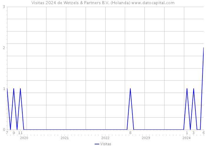 Visitas 2024 de Wetzels & Partners B.V. (Holanda) 