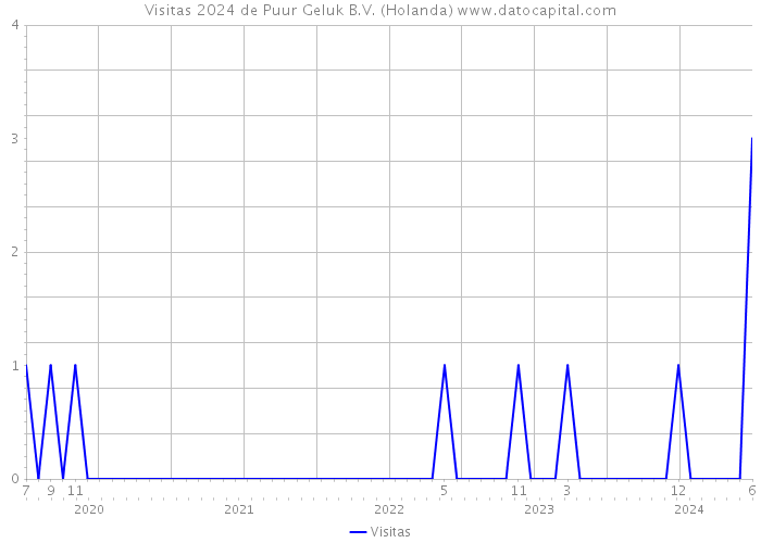 Visitas 2024 de Puur Geluk B.V. (Holanda) 