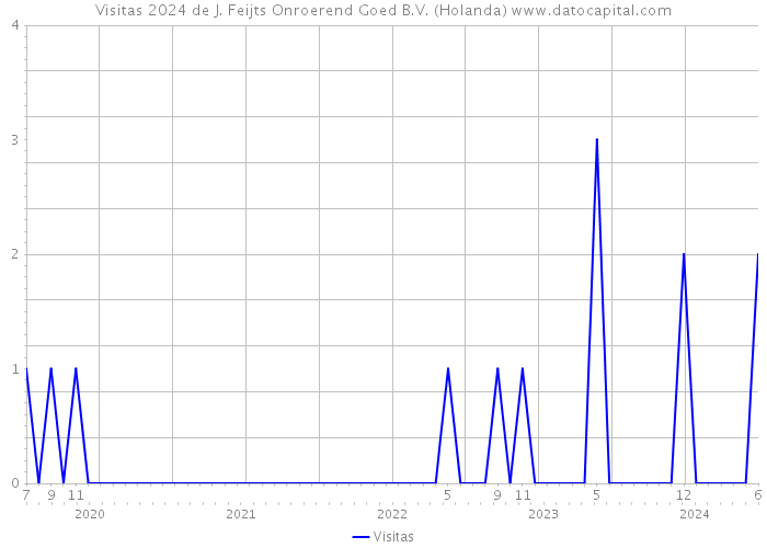 Visitas 2024 de J. Feijts Onroerend Goed B.V. (Holanda) 