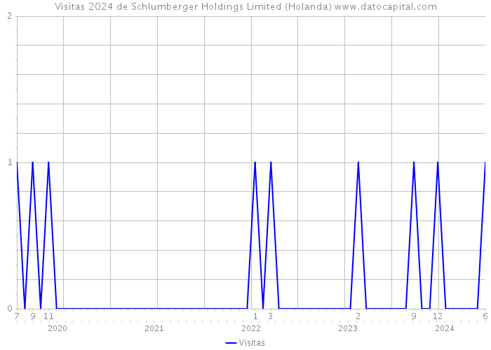 Visitas 2024 de Schlumberger Holdings Limited (Holanda) 