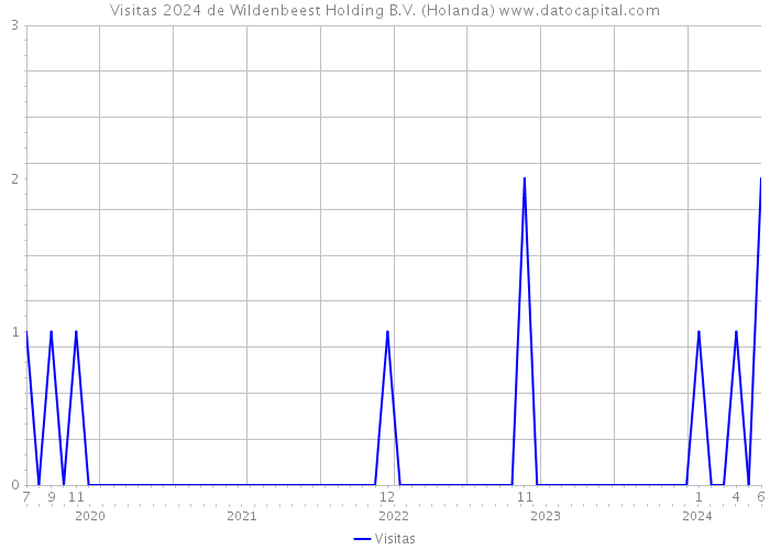 Visitas 2024 de Wildenbeest Holding B.V. (Holanda) 