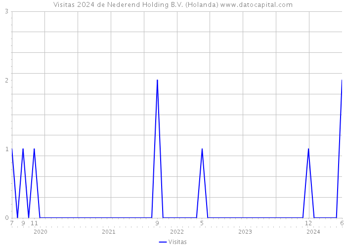 Visitas 2024 de Nederend Holding B.V. (Holanda) 