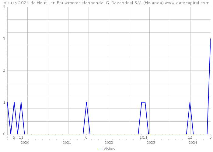 Visitas 2024 de Hout- en Bouwmaterialenhandel G. Rozendaal B.V. (Holanda) 