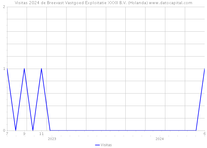 Visitas 2024 de Breevast Vastgoed Exploitatie XXXII B.V. (Holanda) 