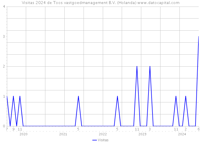 Visitas 2024 de Toos vastgoedmanagement B.V. (Holanda) 