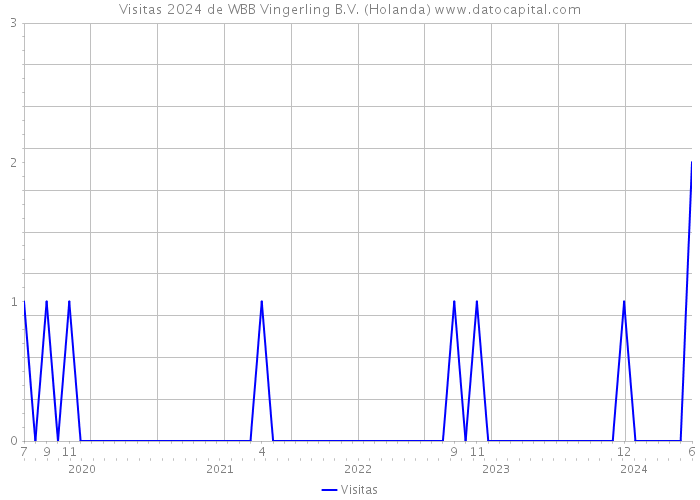 Visitas 2024 de WBB Vingerling B.V. (Holanda) 
