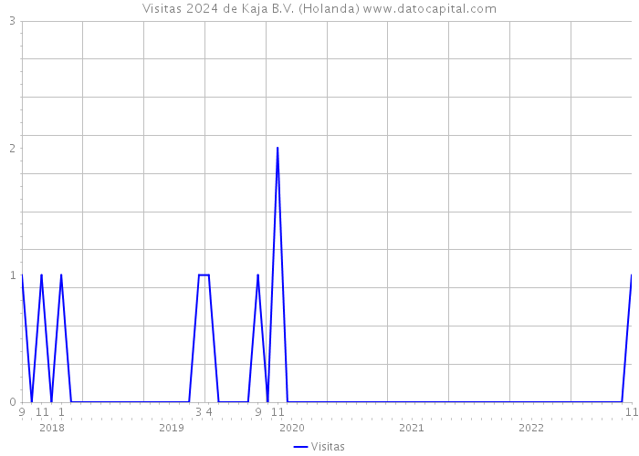 Visitas 2024 de Kaja B.V. (Holanda) 