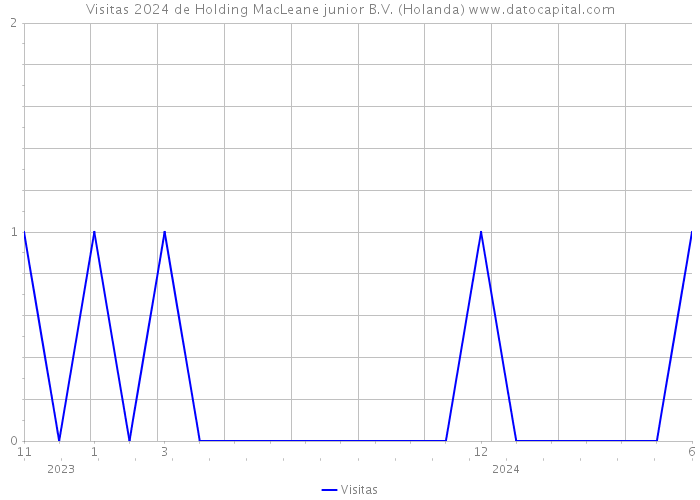 Visitas 2024 de Holding MacLeane junior B.V. (Holanda) 