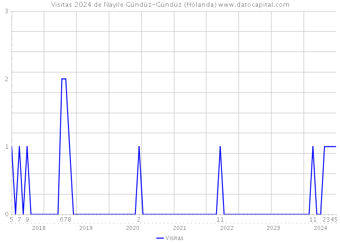 Visitas 2024 de Nayile Gündüz-Gündüz (Holanda) 