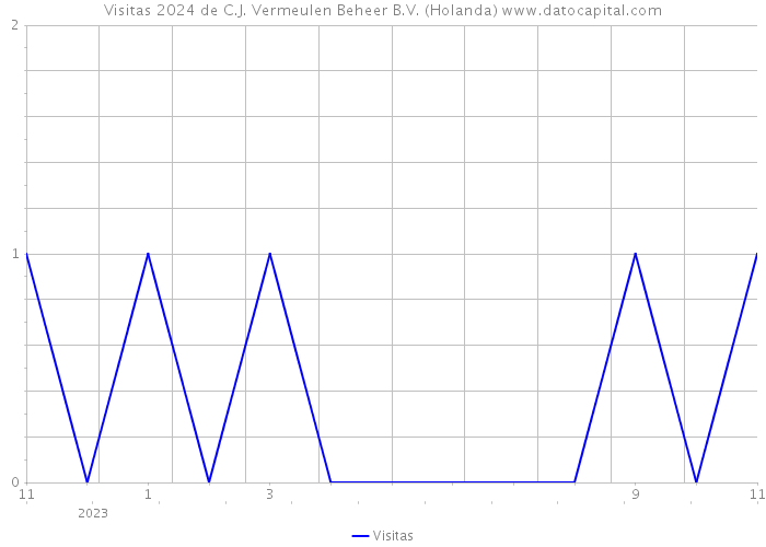 Visitas 2024 de C.J. Vermeulen Beheer B.V. (Holanda) 