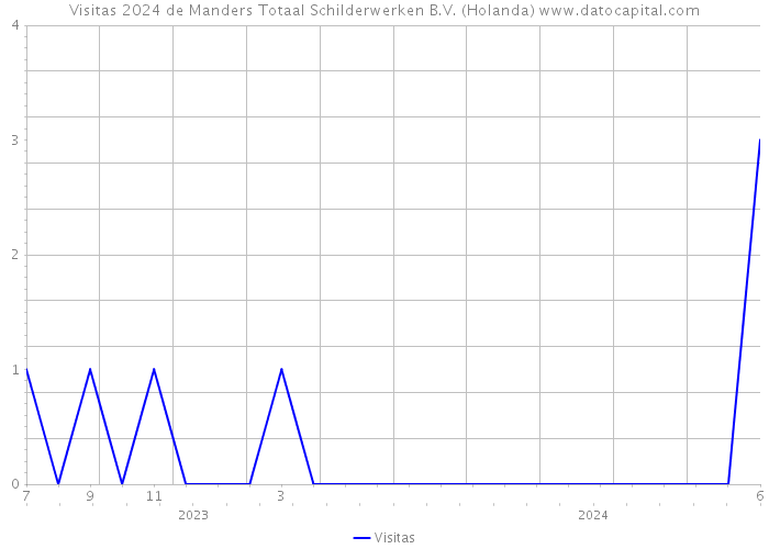 Visitas 2024 de Manders Totaal Schilderwerken B.V. (Holanda) 