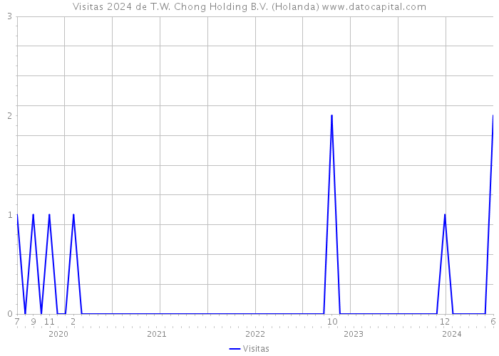 Visitas 2024 de T.W. Chong Holding B.V. (Holanda) 