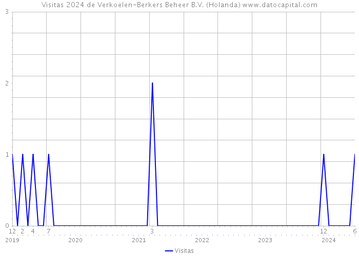 Visitas 2024 de Verkoelen-Berkers Beheer B.V. (Holanda) 