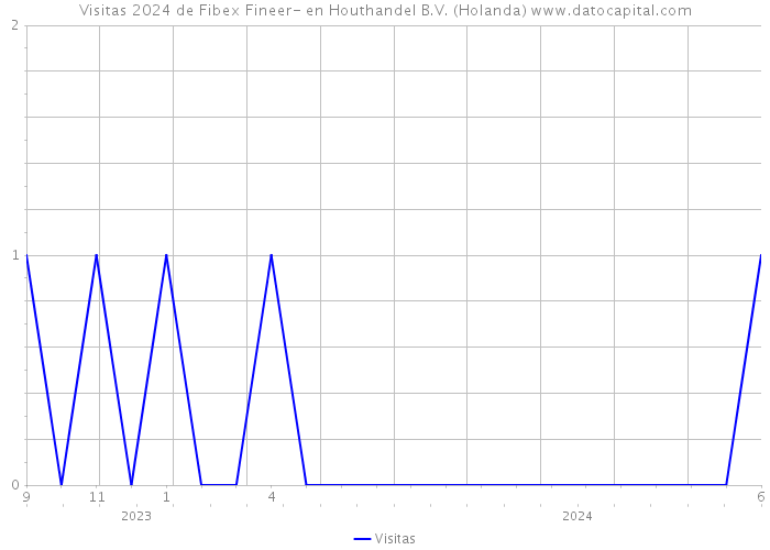 Visitas 2024 de Fibex Fineer- en Houthandel B.V. (Holanda) 