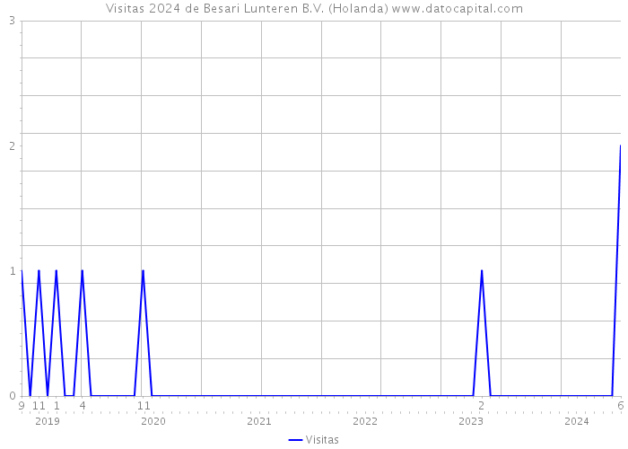 Visitas 2024 de Besari Lunteren B.V. (Holanda) 