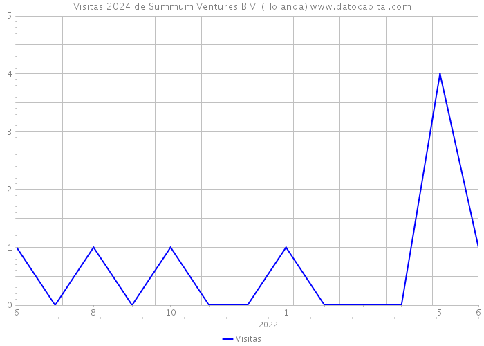 Visitas 2024 de Summum Ventures B.V. (Holanda) 