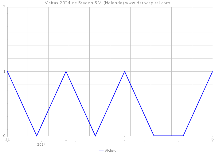 Visitas 2024 de Bradon B.V. (Holanda) 