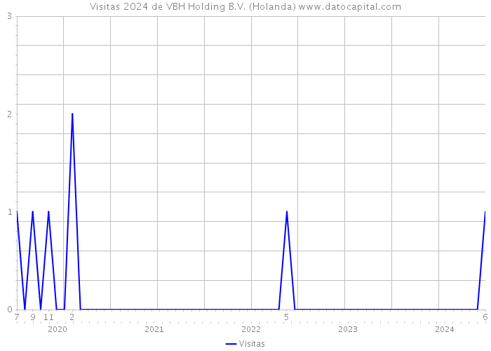 Visitas 2024 de VBH Holding B.V. (Holanda) 