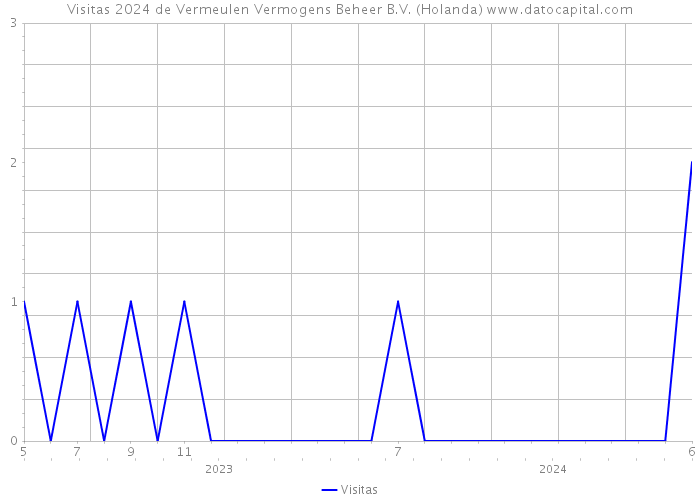 Visitas 2024 de Vermeulen Vermogens Beheer B.V. (Holanda) 